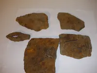 P1010019.webp