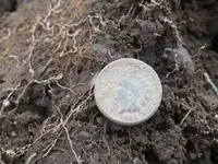 1863 penny just dug.webp