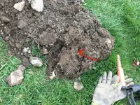dig site 2.webp