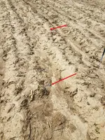 2020-04-11_19-00-11_two.webp