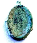 victorian floral locket.webp