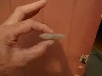 DSCN1878.webp