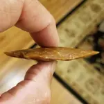 wopside bevel.webp