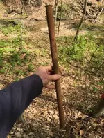pipe4.webp