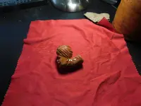 DSCN0753.webp