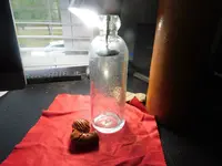 DSCN0754.webp