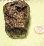 IMG_20200310_010858924~5.webp