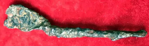 ImageUploadedByTreasureNet.com1585363161.276502.webp ImageUploadedByTreasureNet.com1585363161.276502.webp