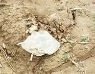 20200419_152808.webp