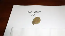 DSCF5044.webp