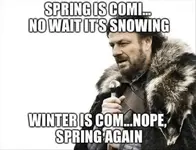 winter.webp