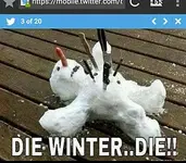 winter die.webp