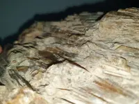 20200427_221311.webp