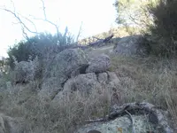 101_7360.webp