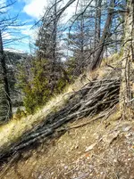 0425201022.webp