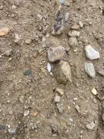 ImageUploadedByTreasureNet.com1586705111.783639.webp