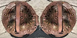 Screen Shot 2020-04-20 at 4.51.16 AM.webp