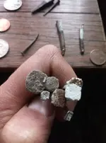 Square Nails from an 1850 Farm House.webp