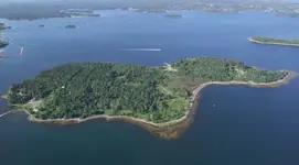 The-Curse-of-Oak-Island-Season-6-Episode-20.webp