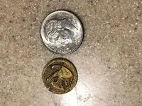 GB Button Dime.webp