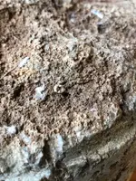 ImageUploadedByTreasureNet.com1586713697.646657.webp
