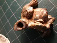 ear.webp