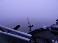 fish donkey fog.JPG