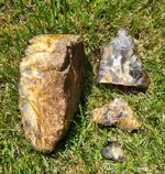 Petrified wood side.webp Petrified wood side.webp