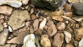 2020.05.25 - in situ.webp