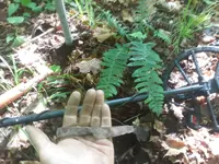 20200621_102522.webp