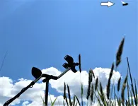 img_3717 (2).webp