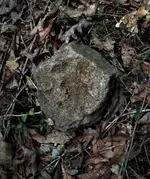 1rock.webp