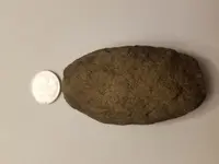 15867414356833900141916302782855.webp