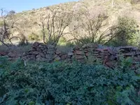 1588102215615.webp