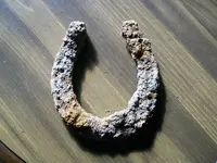 horseshoe.webp