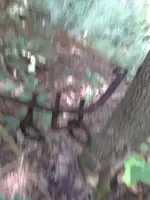 20200412_135848.webp