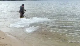 Ice on water.webp