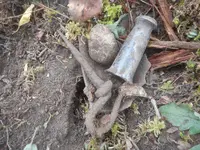 DSCN4009.webp