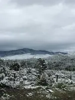 snow 6920.webp