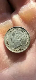 ImageUploadedByTreasureNet.com1591745747.139300.webp