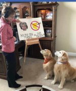 teaching-dogs-mom-on-phone-no-bark.jpg