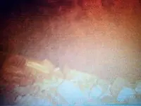 102370817_1426903430830182_1419293390835917015_n.webp