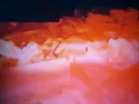 99011393_3262407030470419_821587837399859200_n.webp