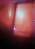 100676177_3262407183803737_2487853999412215808_n.webp