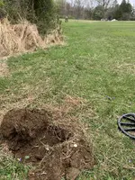 UIjpXCn.webp