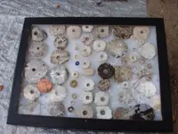 PinCoBeads.webp