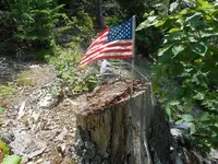 DSCN3902.webp