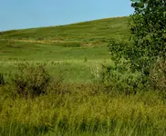 20200611_071134.webp