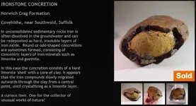 Ironstone Concretion.webp