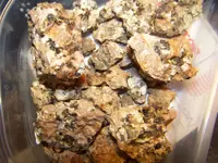 100_1777.webp